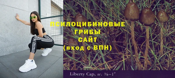 мдпв Верхнеуральск