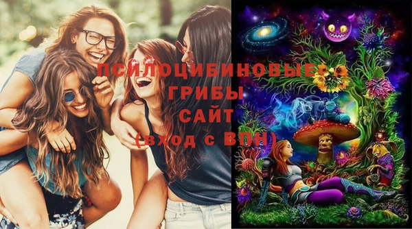 a pvp Семилуки